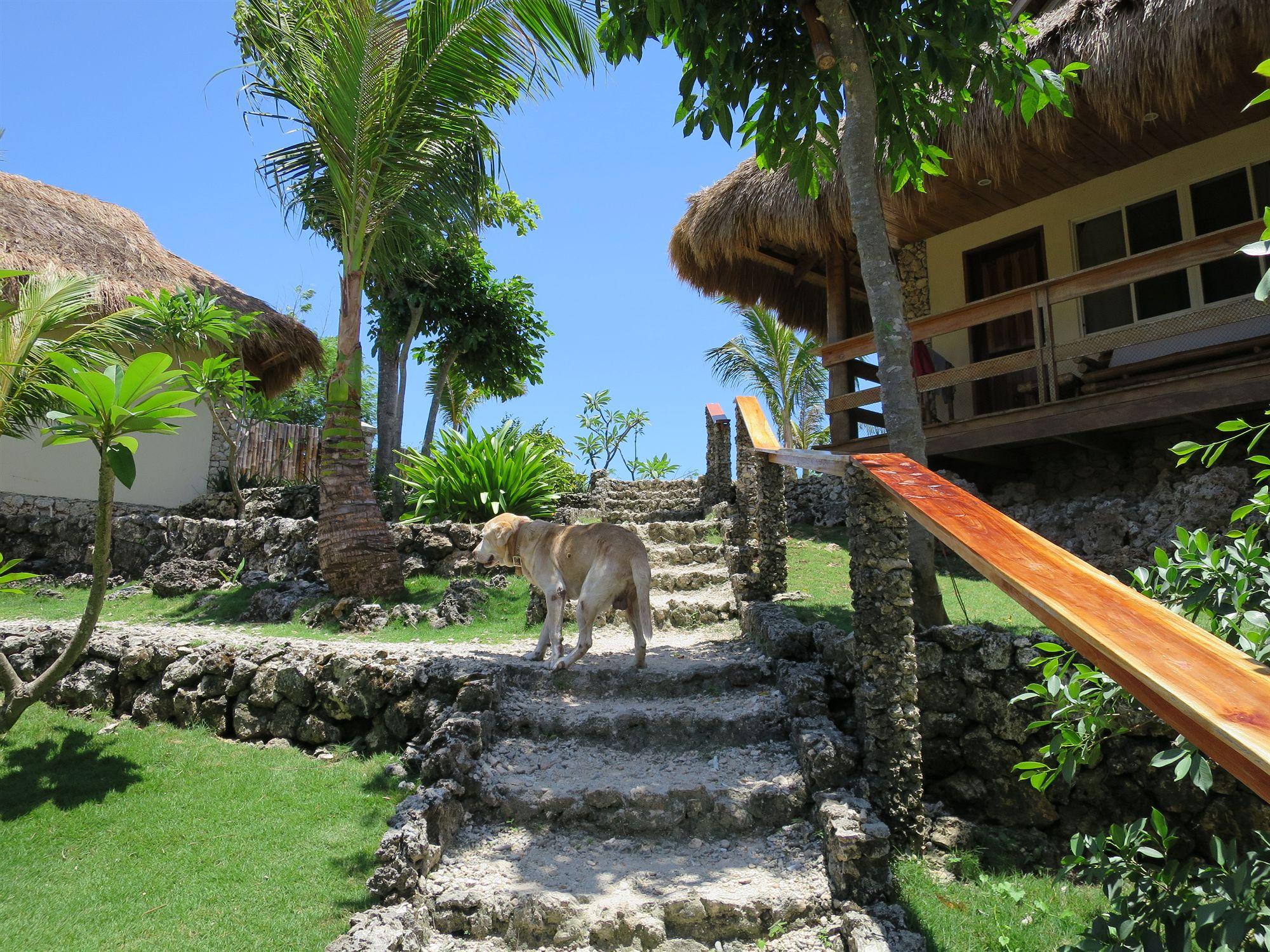 Tepanee Beach Resort Malapascua-sziget Kültér fotó